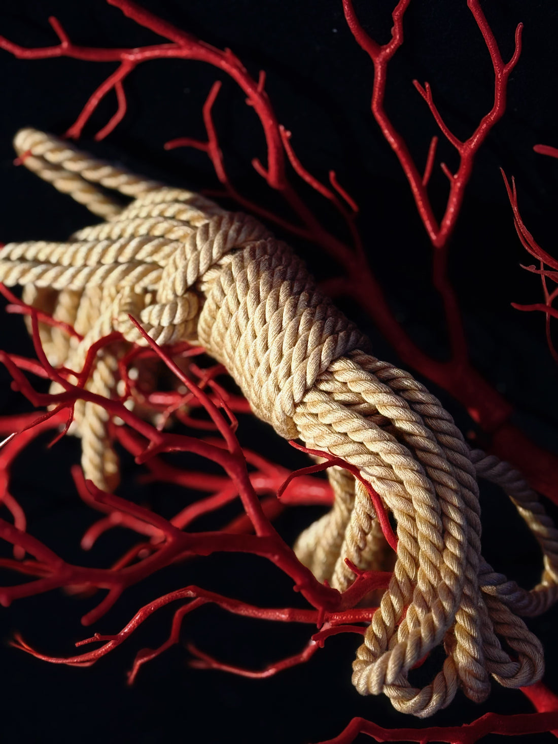 Soft Bondage Rope Kit