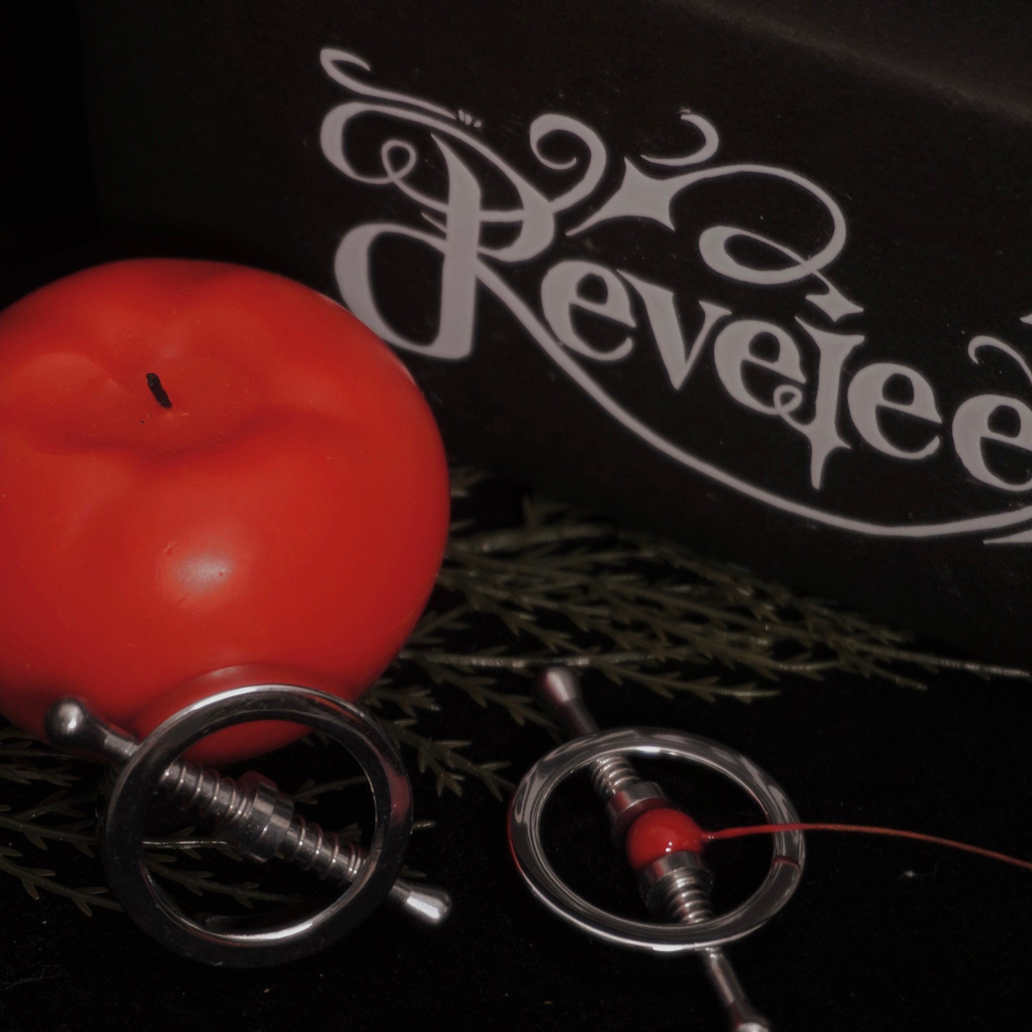 REVERIEE Stainless Steel Spring Nipple Clamps Set